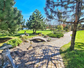 Vila Dominyka - Sodybos vestuvėms - 3 Sodybos vestuvėms - Vila Dominyka - 3