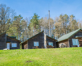 Nameliai ant Vilnojos ežero kranto / Nameliai ant Vilnojos ežero kranto / Darbų pavyzdys ID 2196671