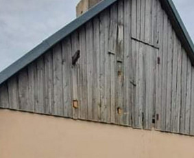 Stogu dengimas bei remonto darbai, skardinimas,konsultacija / ČIUKORS / Darbų pavyzdys ID 2198857