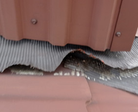 Stogu dengimas bei remonto darbai, skardinimas,konsultacija / ČIUKORS / Darbų pavyzdys ID 2199087