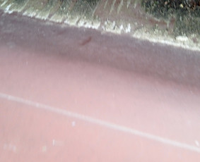 Stogu dengimas bei remonto darbai, skardinimas,konsultacija / ČIUKORS / Darbų pavyzdys ID 2199091