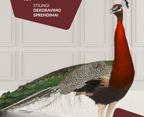 Mikrocementas, Sienų Dekoravimas, Itališkas sienų dekoras / UAB "Decoramentum" / Darbų pavyzdys ID 2200213