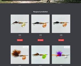 El. parduotuvių kūrimas - Internetinių svetainių ir parduotuvių kūrimas - 2