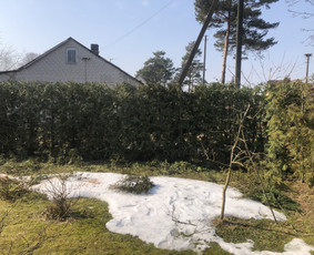 Avarinių medžių pjovimas/ žolės pjovimas. / Arboristas Egidijus / Darbų pavyzdys ID 2201297