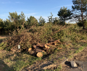 Statybiniu šiukšliu isvežimas - Šakų išvežimas - 1 Šakų išvežimas - Statybiniu šiukšliu isvežimas - 1