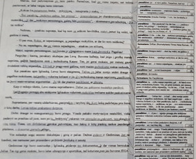 Teksto redagavimas - Profesionalus tekstų redagavimas - 1