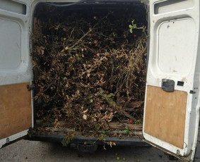 &Scaron;akų i&scaron;vežimas - Aplinkos tvarkymas, genėjimas, tujų kirpimas ir gerbūvis - 3