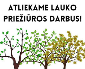 Aplinkos tvarkymas, genėjimas, tujų kirpimas ir gerbūvis / Tvarkom Sodą! Genėjimas, aplinkos tvarkymas / Darbų pavyzdys ID 2206869