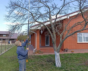 Vaismedžių sodinimas ir priežiūra - Aplinkos tvarkymas, genėjimas, tujų kirpimas ir gerbūvis - 1