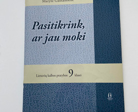 Ruošiu lietuvių kalbos egzaminui, tarpiniams atsiskaitymams / Marija / Darbų pavyzdys ID 2208088