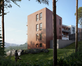 Architektūrinės 3d vizualizacijos / Nova visuals / Darbų pavyzdys ID 2209208