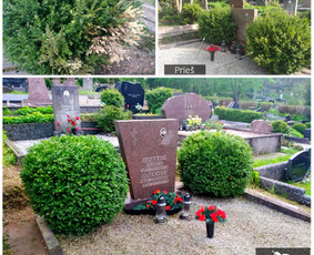 Kapų priežiūra ir tvarkymas visoje Lietuvoje – Eram Service / Eram service / Darbų pavyzdys ID 2216428