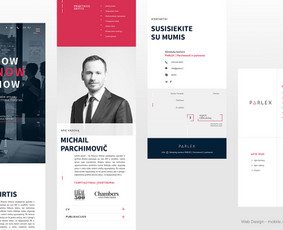 Internetas, IT - Grafinis dizainas / iliustracija - 4