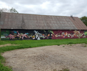 Murals / Frankie Nesbitt / Darbų pavyzdys ID 2221786