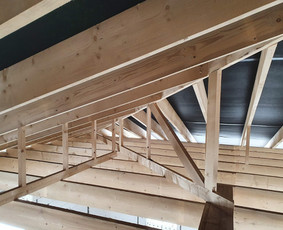 Stogo montavimo/renovacijos darbai / Zbignev Sinkevič / Darbų pavyzdys ID 2224628