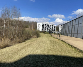 Žolės pjovimas, skarifikavimas , tręšimas, purškimas / MB ,,Žolnera” / Darbų pavyzdys ID 2227140