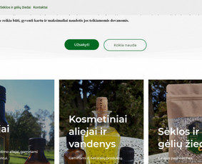 Internetinės svetainės, el. parduotuvės, Seo, Ads, Di-pro. / Infotecheris / Darbų pavyzdys ID 2230902