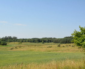 Nt brokerė / tarpininkė / agentė Kaunas + 100km / Ineta Lentinaitė / Darbų pavyzdys ID 2231914