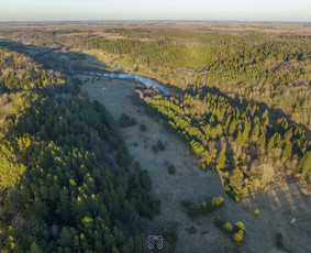 Konsultacijos NT įteisinimo klausimais - Nt brokerė / tarpininkė / agentė Kaunas + 100km - 2