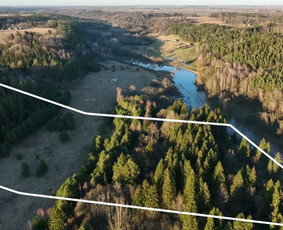 Nt brokerė / tarpininkė / agentė Kaunas + 100km / Ineta Lentinaitė / Darbų pavyzdys ID 2232002