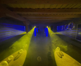 Dj Markes / Garso ir apšvietimo įranga / Matas Markevičius / Darbų pavyzdys ID 2232824