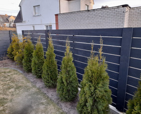 Montuojam segmentines ir metaliniu tvoralenčių tvoras / Arvydas / Darbų pavyzdys ID 2234020