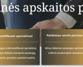 Apleistos buhalterijos tvarkymas - Mokesčių, apskaitos ir finansų ekspertė Daiva - 1