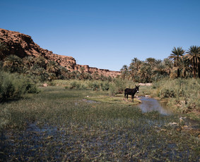 Anglų kalbos pamokos su Kembridžo akredituota mokytoja - Privačios anglų kalbos pamokos - 1 Privačios anglų kalbos pamokos - Anglų kalbos pamokos su Kembridžo akredituota mokytoja - 1