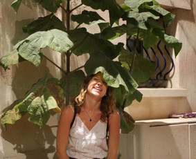 Anglų kalbos pamokos su Kembridžo akredituota mokytoja - Mokymai, kursai, kalbos - 4 Mokymai, kursai, kalbos - Anglų kalbos pamokos su Kembridžo akredituota mokytoja - 4