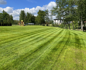 Žolės pjovimas - Aplinkos priežiūra / tvarkymas - 4