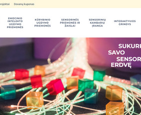 Nuo idėjos iki profesionaliai veikiančio projekto / Interneto svetainių kūrimas / Darbų pavyzdys ID 2251132