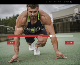 Bluejuice Hostingas, Svetainių kūrimas, administravimas, Seo - Programavimas su WordPress - 1 Programavimas su WordPress - Bluejuice Hostingas, Svetainių kūrimas, administravimas, Seo - 1