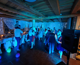 Vedėjas/dj viename - All inclusive / Edgaras Bomblauskas / Darbų pavyzdys ID 2252134