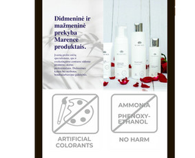 Internetinių svetainių ir el. parduotuvių kūrimas - Interneto svetainių priežiūra - 4 Interneto svetainių priežiūra - Internetinių svetainių ir el. parduotuvių kūrimas - 4