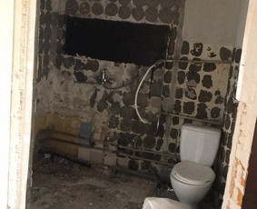 Griovimo darbai, šiukšlių išvežimas Klaipedoje ir aplink / Benas / Darbų pavyzdys ID 2254842