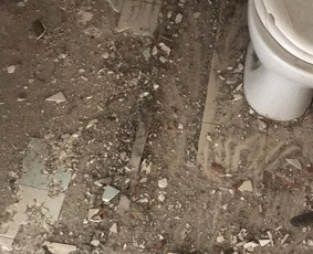 Griovimo darbai, šiukšlių išvežimas Klaipedoje ir aplink / Benas / Darbų pavyzdys ID 2254848