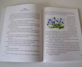 Dailininkė, iliustratorė, grafikos dizainerė Kaune / Rūta / Darbų pavyzdys ID 2257146