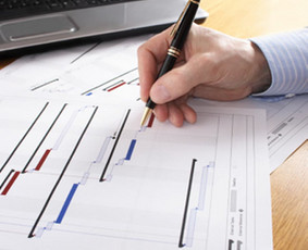 Statybos, apdaila - Projektų vadovas/rengėjas - 3