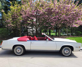 Cadillac Eldorado nuoma - Senovinių automobilių nuoma - 1 Senovinių automobilių nuoma - Cadillac Eldorado nuoma - 1