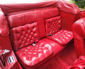 Cadillac Eldorado nuoma / Giedrė Arminė / Darbų pavyzdys ID 2259122