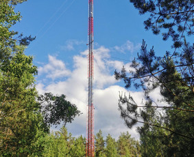 Aukštuminiai darbai / MB vertical boys / Darbų pavyzdys ID 2263258
