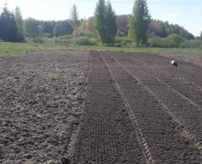 Žemės frezavimas, vejų įrengimas / Audrius Budrys / Darbų pavyzdys ID 2263862