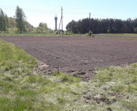 Žemės frezavimas, vejų įrengimas / Audrius Budrys / Darbų pavyzdys ID 2263868