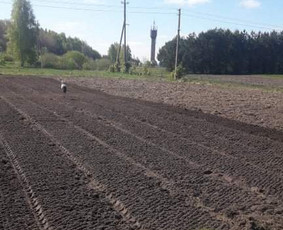 Žemės frezavimas, vejų įrengimas / Audrius Budrys / Darbų pavyzdys ID 2263870