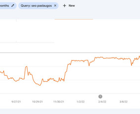 SEO paslaugos - Efektyvios Seo Paslaugos - 3