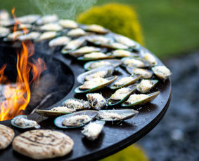 Grill ir Bbq Jūsų šventeje. / Andrejus / Darbų pavyzdys ID 2267314
