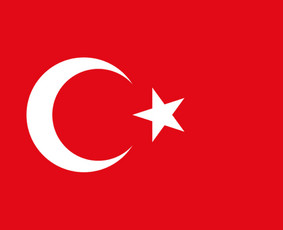 Paslaugos verslui - Vertimai Internetu-profesionalu ir greita. 24/7 - 3