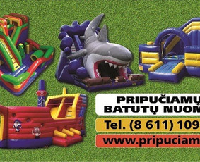 Batutų nuoma Vilniuje , Kaune , Klaipedoje / Aurimas / Darbų pavyzdys ID 388061