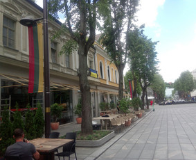 Suvirintojo paslaugos, metalo gaminiai. / Karolis Povilaitis / Darbų pavyzdys ID 2268806