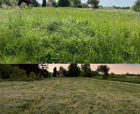 Pjovimas trimeriu, žoliapjove, traktoriuku ir kt. darbai / MB VITONA / Darbų pavyzdys ID 2269094